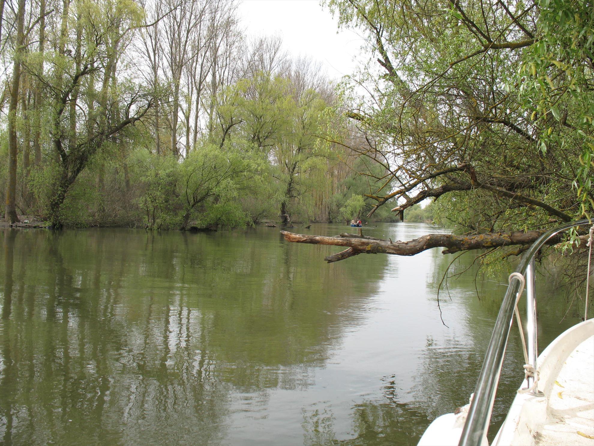 DELTA 2007-2012 - CRISAN